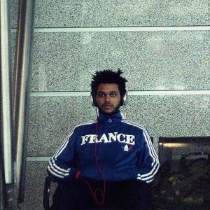 Meet your Posher, Julius